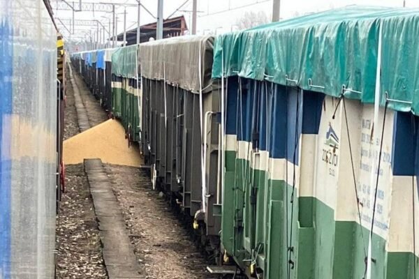 У Польщі знову висипали з вагонів українською агропродукцією (ФОТО)