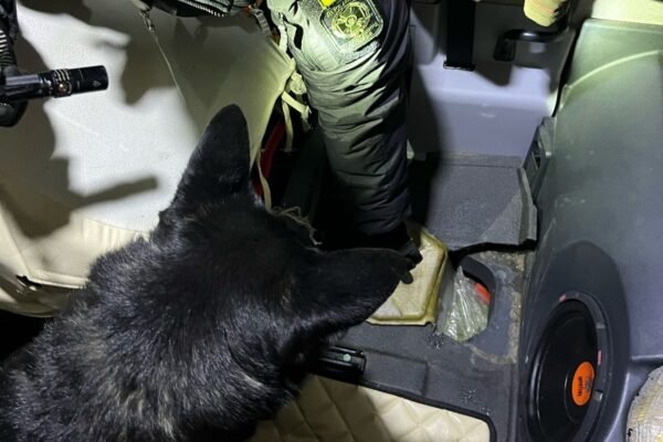 На Буковині службовий пес прикордонників виявив наркотики у фурі та мікроавтобусі, що прямували з України