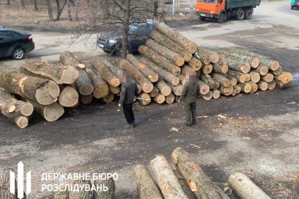 На Сумщині викрили масштабні оборудки з лісом (ФОТО)