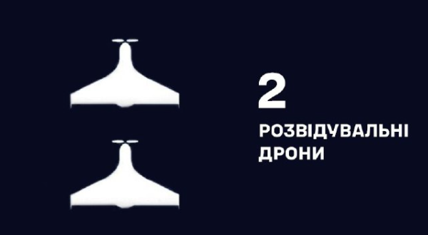 На Одещині знищили два ворожі дрони-розвідники