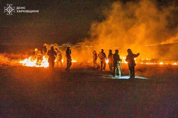 Село у передмісті Харкова ледь не згоріло через велику пожежу (ФОТО)