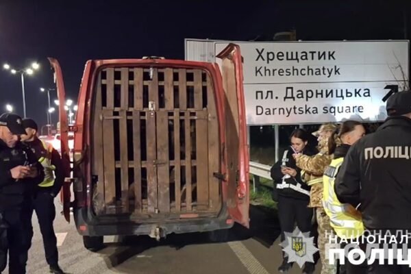 В Києві зупинили мікроавтобус, в якому виявили 9 оленів, один з яких вже був мертвий