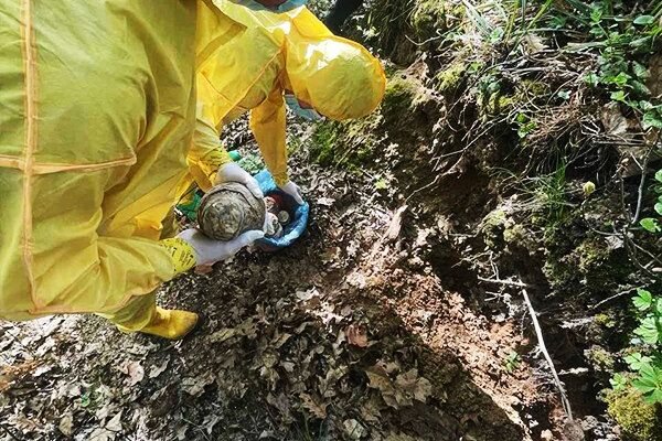 У лісосмузі Львова знайшли 20 кілограмів ртуті (ФОТО)