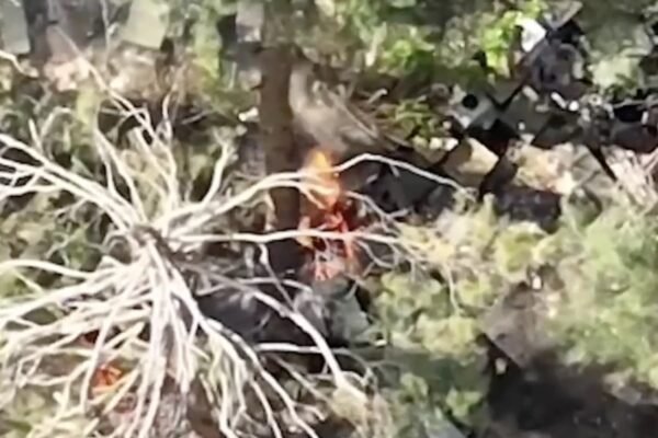 Як прикордонники уразили польовий склад боєкомплекту та позицію ворожих мінометників (ВІДЕО)