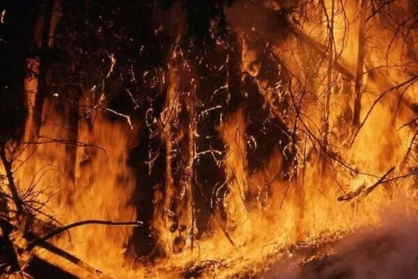 На Львівщині вночі збили три “шахеди”. Через падіння уламків спалахнув гектар лісу