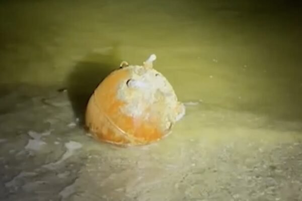 На узбережжі Одещини знищили морську міну (ВІДЕО)