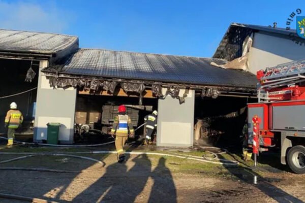 У Польщі жорстоко вбили українця: розчленоване тіло намагалися спалити