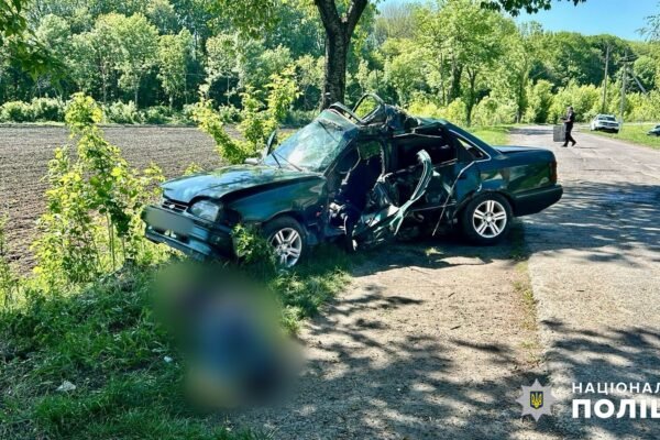 На Одещині автівка влетіла в дерево: загинув водій, постраждала п’ятирічна дитина (ФОТО)