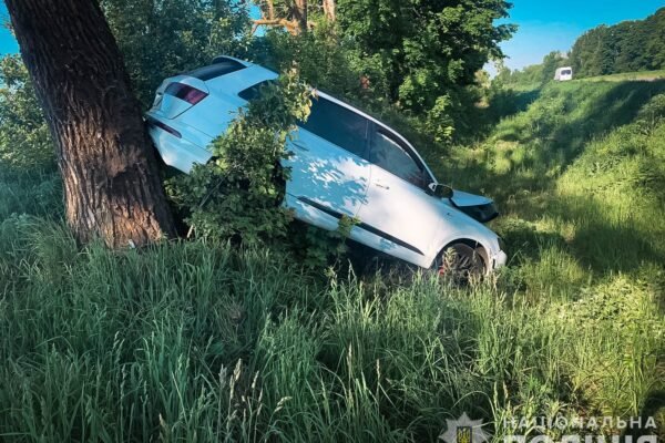 На Сумщині легковик злетів у кювет та врізався в дерево: серед постраждалих – дві дитини (ФОТО)