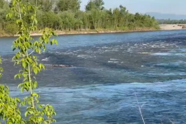 Румунські прикордонники виявили тіло чоловіка на березі Тиси (ФОТО)