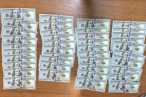 Двоє жителів Одещини пропонували прикордоннику 8 тис. доларів за організацію втечі ухилянта до Молдови