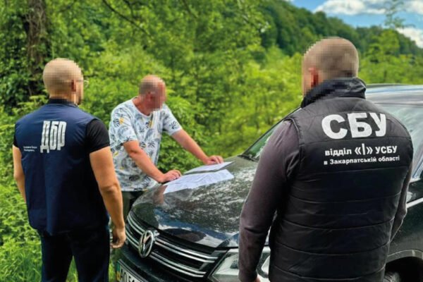 Вирубали дерев на 1,5 млн грн: на Закарпатті посадовцю лісгоспу оголосили підозру