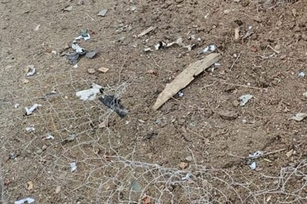 Прикордонники збили 6 ворожих дронів на Запорізькому напрямку