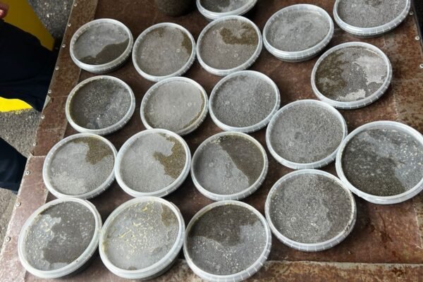 Водій рейсового автобуса намагався нелегально вивезти до Молдови 8 кг чорної ікри