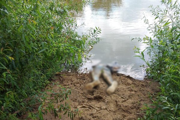 З Тиси дістали тіло ще одного потопельника