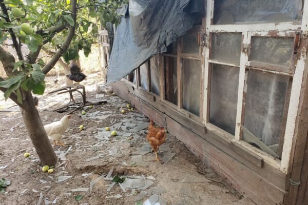 Нікопольщині під кінець доби 25 червня зазнала чергової атаки