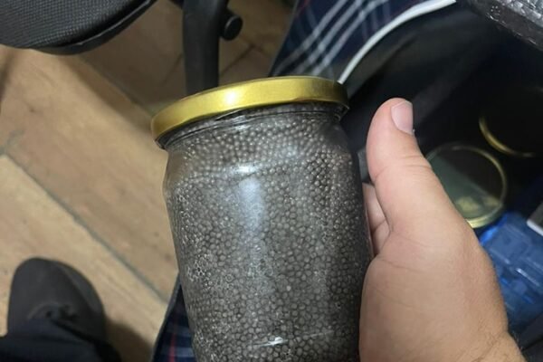 В автобусі у багажі жителя Волині, який повертався в Україну, виявили сховок із 15 кг осетрової ікри