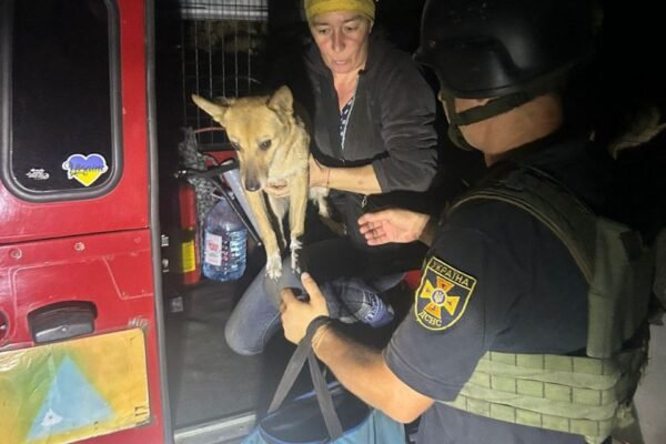На Харківщині з-під обстрілів вдалося евакуювати жінку з домашніми улюбленцями