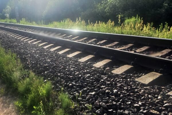 На Житомирщині потяг на смерть збив людину