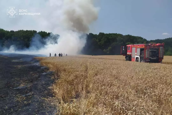 На Харківщині загасили пожежу на пшеничному полі: врятовано 10 га (ФОТО)
