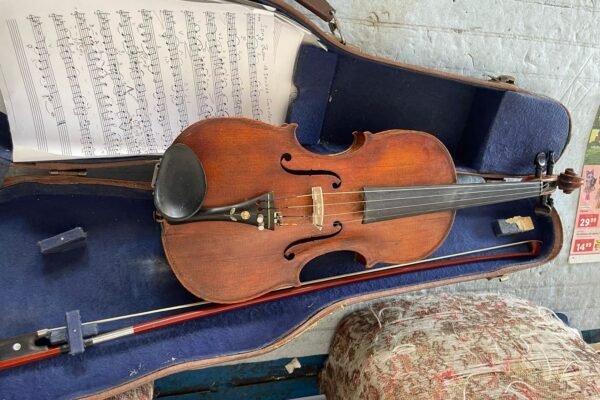 На кордоні зупинили українку, що намагалася вивезти скрипку Страдіварі (ФОТО)