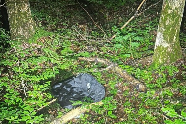 Прикордонники виявили тіло 29-річного жителя Полтави за кілька кілометрів від кордону на Закарпатті