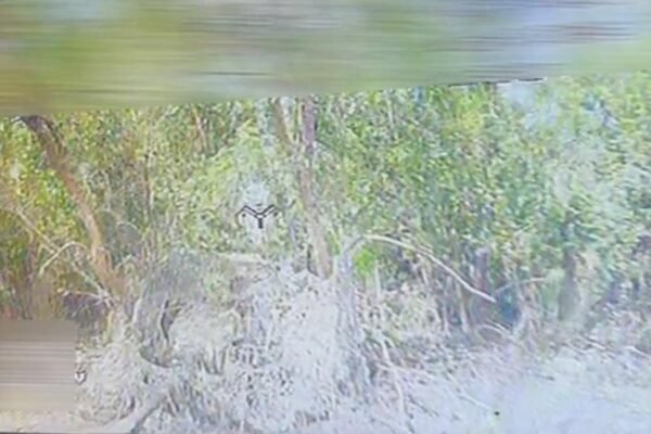 Як українські воїни знищили ворожу гаубицю Д-30 на Харківському напрямку (ВІДЕО)