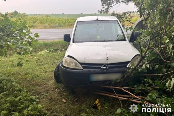 ДТП на Хмельниччині: Авто врізалося в дерево, є постраждалі