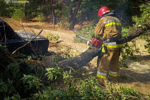 На Миколаївщині негода повалила дерева (ФОТО)