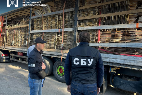 Житель Львівщини організував контрабанду деревини за кордон. Йому оголошено підозру