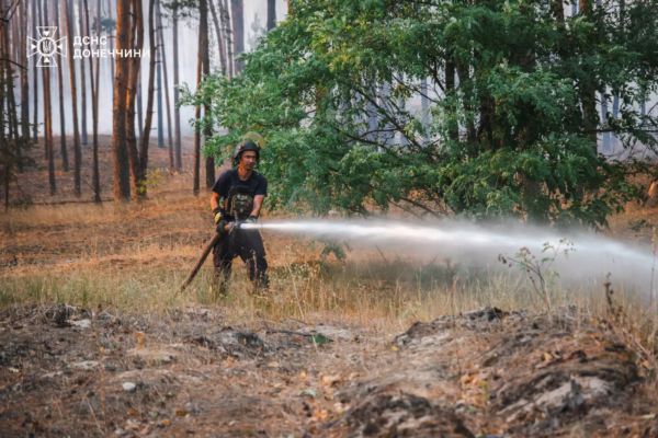 Рятувальники третій день не можуть загасити пожежу у Лиманському лісництві на Донеччині (ФОТО)