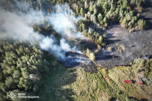 На Чернігівщині триває ліквідація масштабної пожежі (ФОТО)