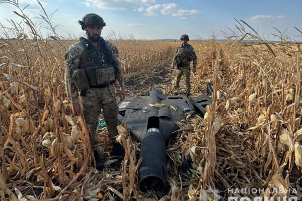На Сумщині знешкодили ворожий “шахед”, що впав посеред кукурудзяного поля (ФОТО)
