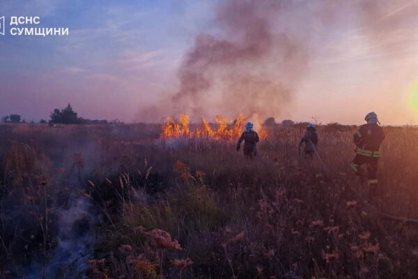 Понад 20 гектарів охоплено вогнем: На Сумщині рятувальники приборкують пожежу в екосистемі (ФОТО, ВІДЕО)