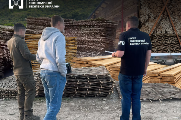 Львівські бізнесмени попалися на незаконному вивезенні деревини до ЄС