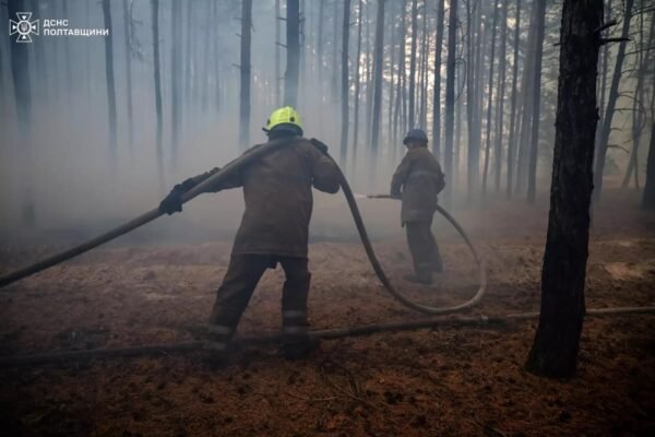 На Полтавщині третю добу триває ліквідація масштабної лісової пожежі (ФОТО)