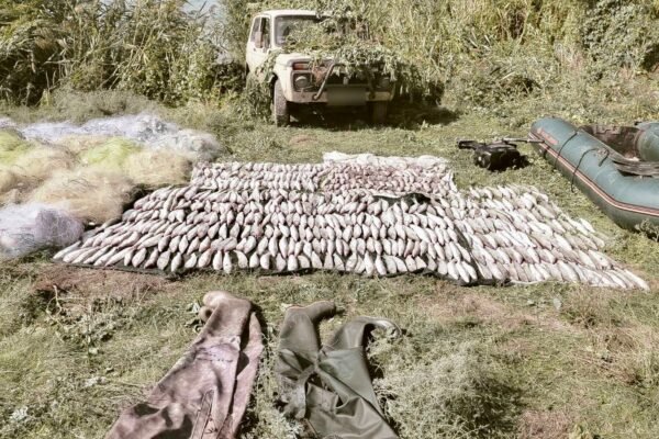 На Одещині затримали браконьєрів з уловом на 1,4 млн гривень (ФОТО)