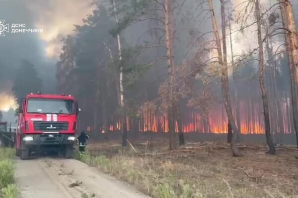 У нацпарку на Донеччині другий день гасять масштабну пожежу: вогонь перекинувся на будинки (ФОТО)