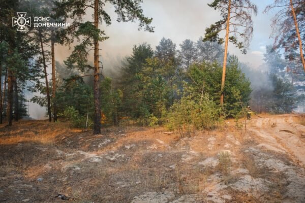 На Донеччині четверту добу гасять лісову пожежу в Лиманському районі (ФОТО, ВІДЕО)