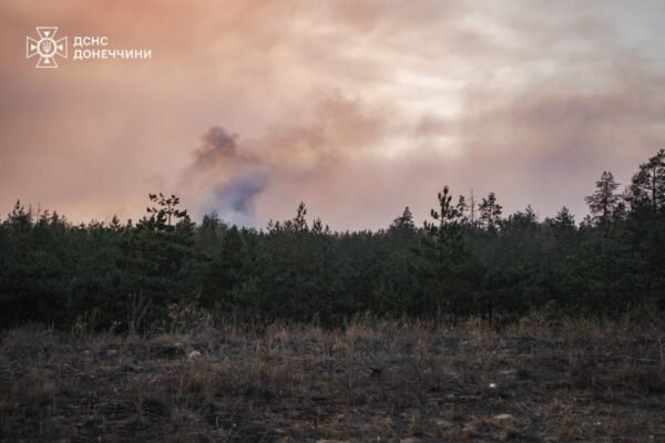 На Донеччині локалізували масштабну лісову пожежу (ФОТО)