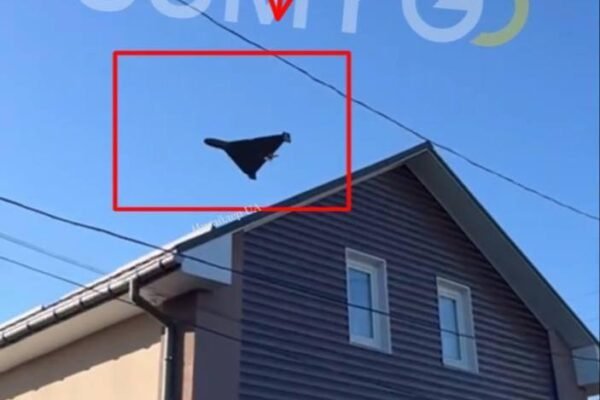 Майже зачепив дах: У мережі шириться відео з “шахедом”, що пролетів у Сумах просто над будинком