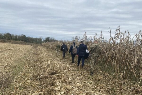 Трьох тернополян, що намагалися втекти до Угорщини, затримали прикордонники у кукурудзяному полі