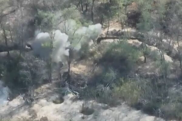 Як прикордонники знищили ворожі вогневі позиції на Запорізькому напрямку (ВІДЕО)