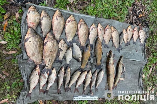 Браконьєра із виловом на понад 100 тисяч гривень впіймали у заповіднику на Тернопільщині