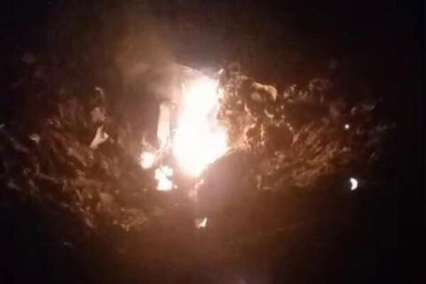 Прикордонники показали збиття ворожих “Шахедів” на Дніпропетровщині (ВІДЕО)