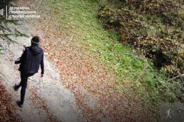 З різницею чотири хвилини: у лісі на Львівщині ледь не зустрілись жінка та ведмідь (ФОТО)