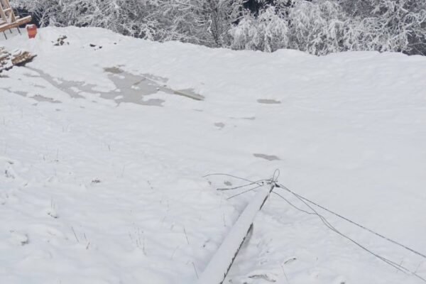 На Прикарпатті через снігопад спостерігаються перебої з електрикою