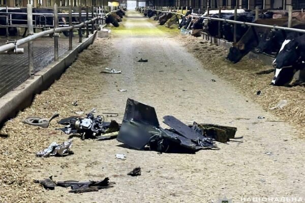 Російські дрони масовано атакували Чернігівщину. Внаслідок влучання у ферму загинула худоба (ФОТО)