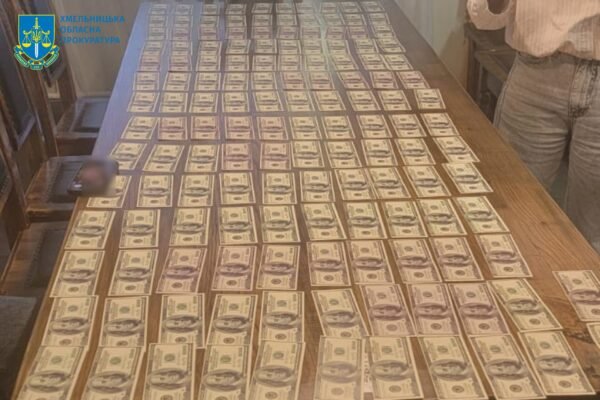 Судитимуть аферистку з Хмельницького, яка намагалася продати автівки, призначені для ЗСУ