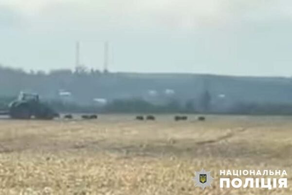 На Тернопільщині працівники агрофірми знущалися з диких тварин: Відео потрапило до правоохоронців